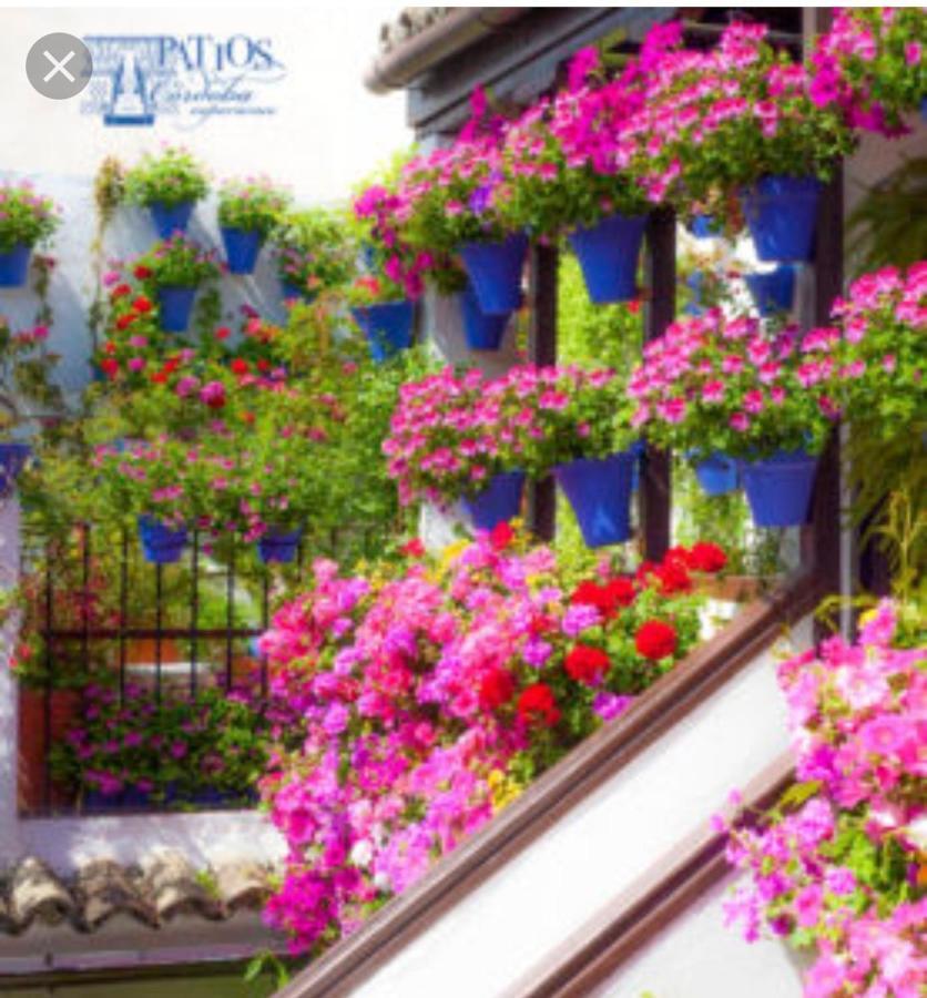A 20 Metros De La Mezquita Catedral ,Apartamentos Turistico Cespedes 5 Córdoba Exteriér fotografie