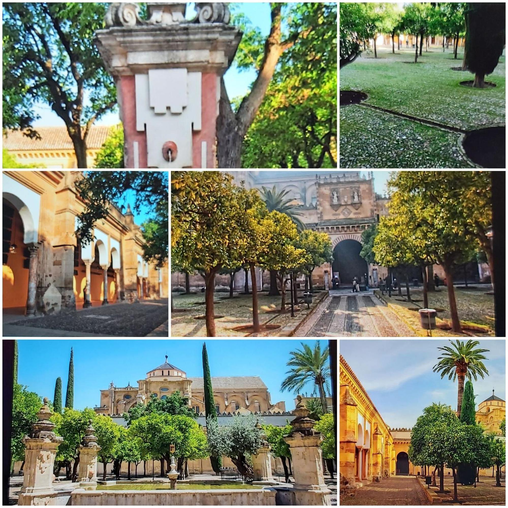 A 20 Metros De La Mezquita Catedral ,Apartamentos Turistico Cespedes 5 Córdoba Pokoj fotografie