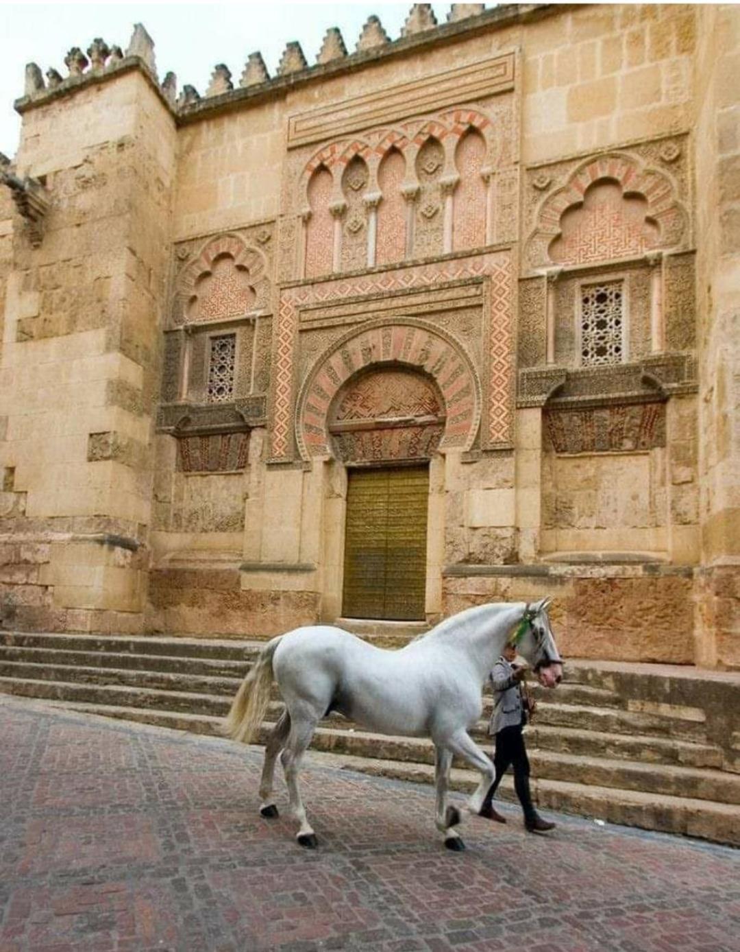 A 20 Metros De La Mezquita Catedral ,Apartamentos Turistico Cespedes 5 Córdoba Pokoj fotografie