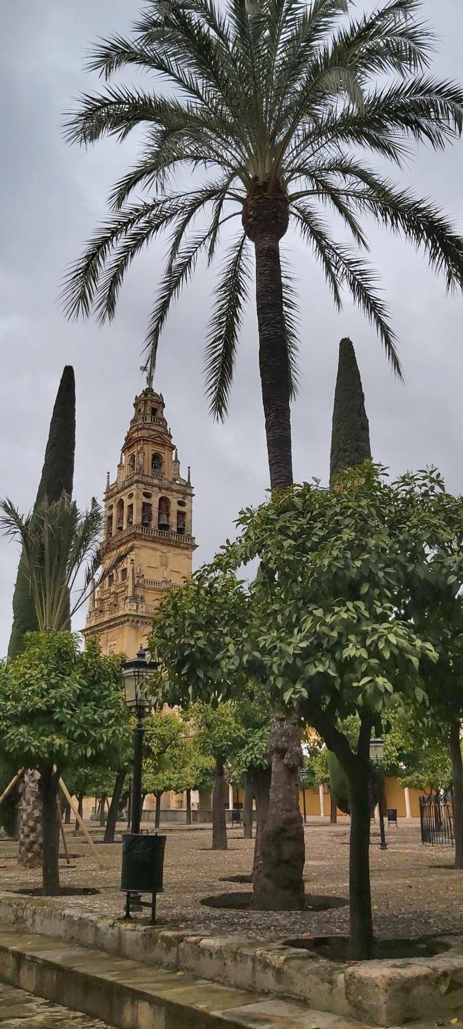 A 20 Metros De La Mezquita Catedral ,Apartamentos Turistico Cespedes 5 Córdoba Pokoj fotografie